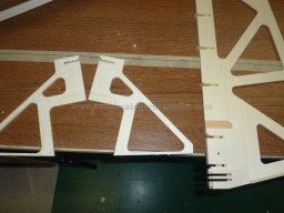 Ruder and elevator (213)